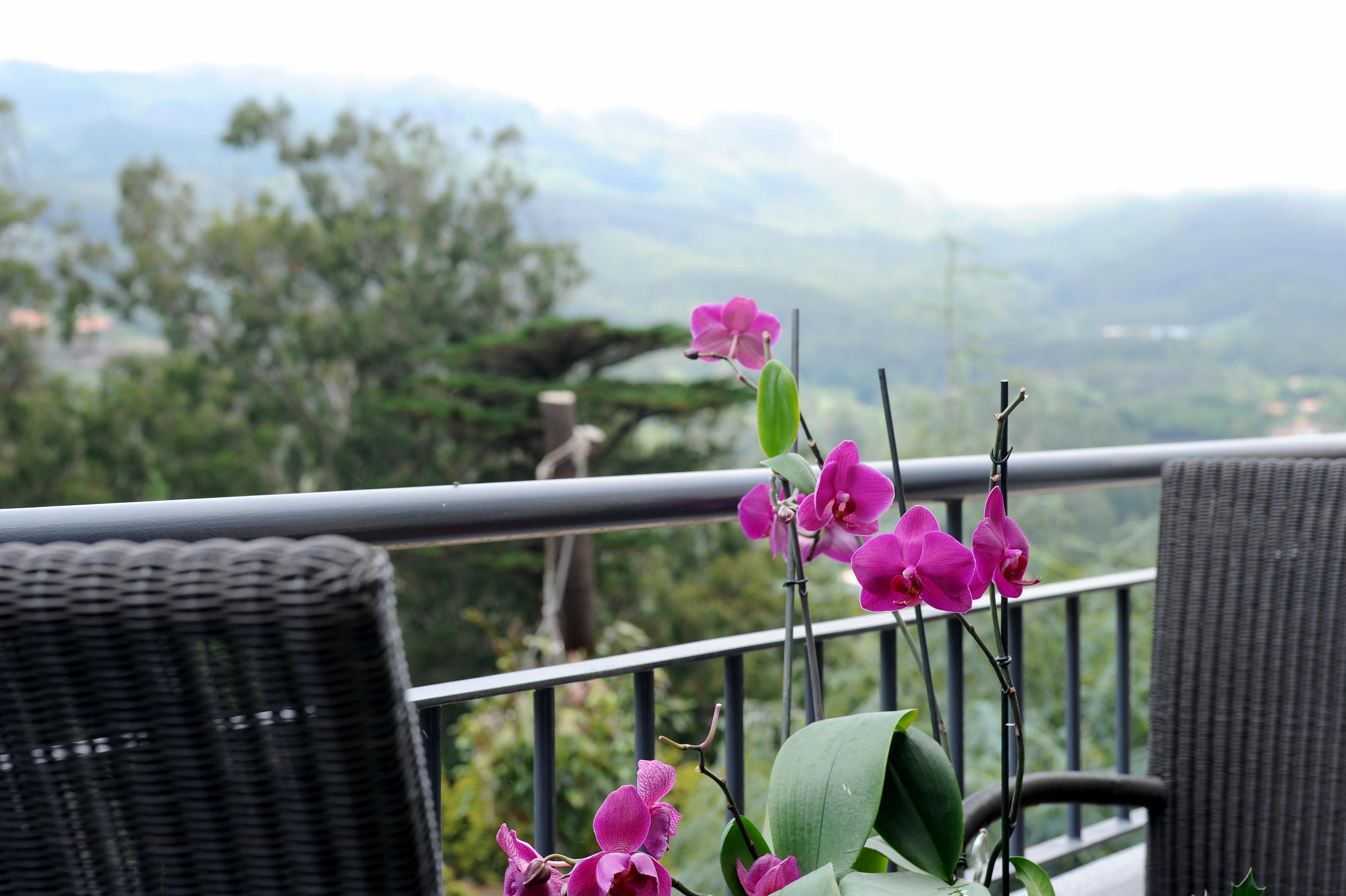 Hotel Quinta Da Cova Do Milho à Santo Antonio da Serra Extérieur photo