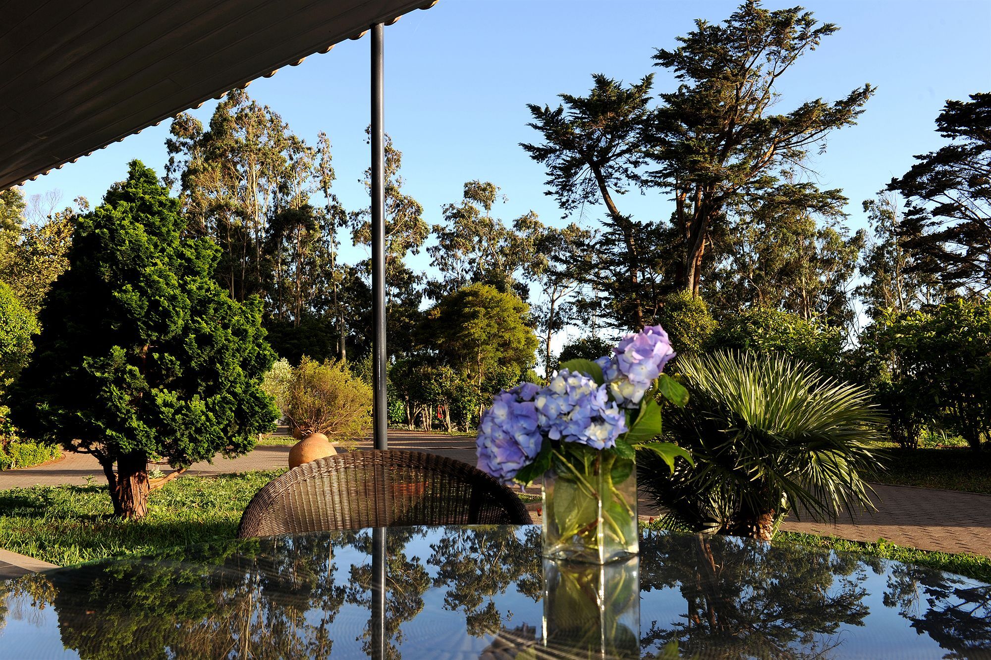 Hotel Quinta Da Cova Do Milho à Santo Antonio da Serra Extérieur photo